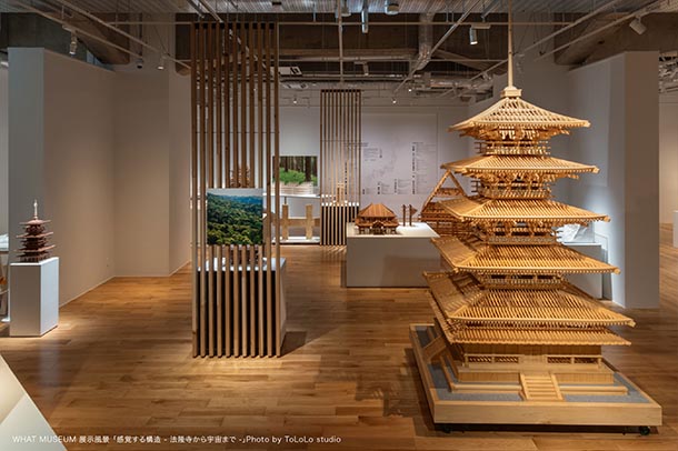 Special Guided Tours / Night Opening